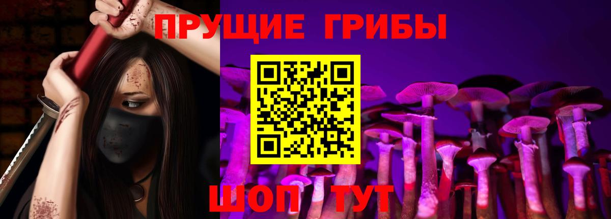 Галлюциногенные грибы MAGIC MUSHROOMS  дарнет шоп  Галлюциногенные грибы MAGIC MUSHROOMS  Михайловск  Вход с VPN 